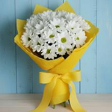 Букет цветов из:  Хризантемы в Поселок Володарского