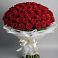 Букет 101 Красная роза Блэк Мэджик в Поселок Володарского