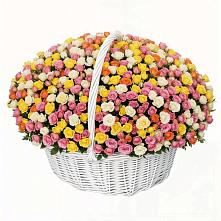 Премиум букет из: Розы в Поселок Володарского