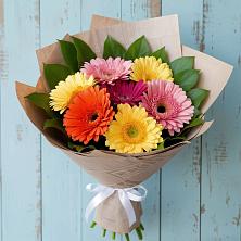 Букет цветов из:  Герберы в Поселок Володарского
