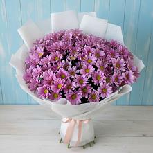 Букет цветов из:  Хризантемы в Поселок Володарского