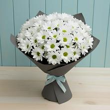 Букет цветов из:  Хризантемы в Поселок Володарского
