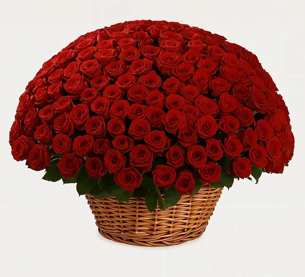 Премиум букет из: Розы в Поселок Володарского