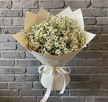 Букет цветов из:  Ромашки #REPLACE_PRED# Поселок Володарского