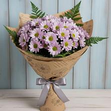 Букет цветов из:  Хризантемы в Поселок Володарского