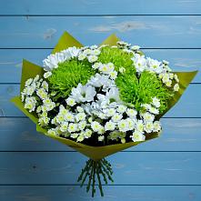 Букет цветов из:  Хризантемы в Поселок Володарского