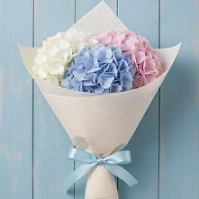 Букет цветов из:  Гортензия #REPLACE_PRED# Поселок Володарского