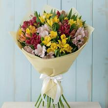 Букет цветов из:  Альстромерии в Поселок Володарского