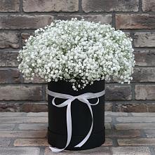 Цветочная композиция из Гипсофила в шляпной коробке #REPLACE_PRED# Поселок Володарского