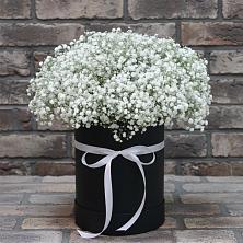 Цветочная композиция из Гипсофила в шляпной коробке в Поселок Володарского