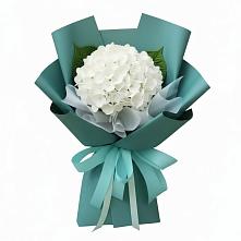 Букет цветов из:  Гортензия в Поселок Володарского